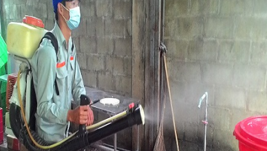 Công ty phun thuốc diệt muỗi tại Đồng Nai