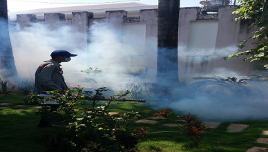 Công ty phun diệt muỗi tại Đảo Phú Quốc