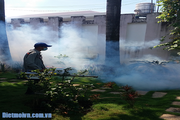 Công ty phun diệt muỗi tại Q2, Tp.HCM