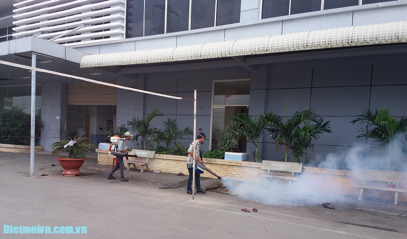 Công ty phun diệt muỗi tại Q5 - Tp HCM