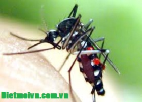Phát hiện ca nhiễm dịch Virut Zika ở Long An