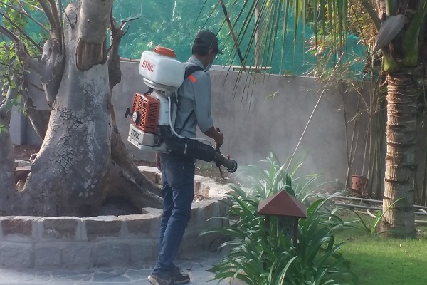 Dịch vụ phun diệt muỗi tại nhà ở An Giang