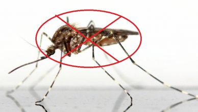 Phun diệt muỗi tỉnh Hoà Bình