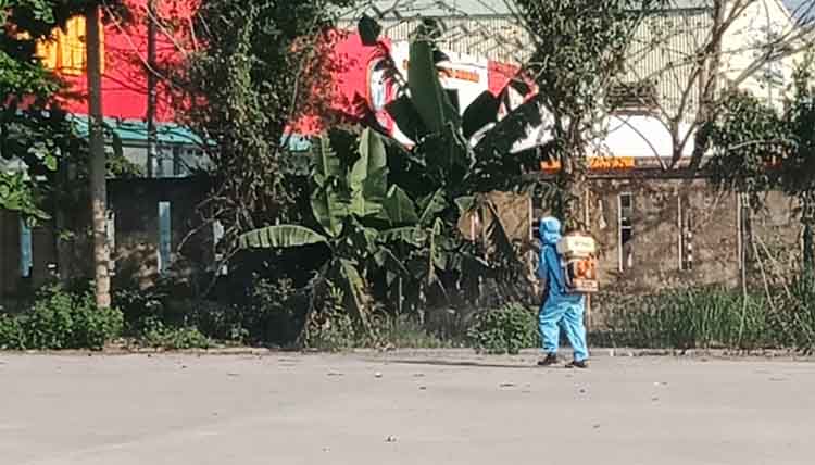 phun diệt muỗi tại Huyện Ba Vì