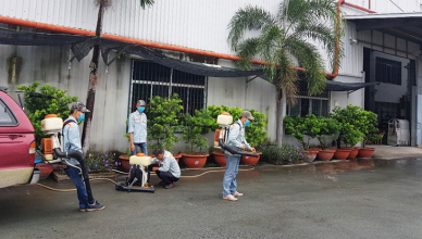 phun diệt muỗi tại Huyện Thanh Oai