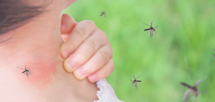 phun diệt muỗi tại Huyện Thường Tín