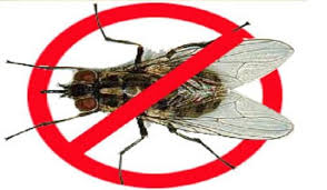 diệt ruồi nhặng tại Huyện Sóc Sơn