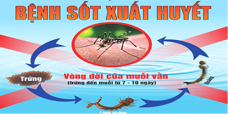 phun diệt muỗi tại Quận Long Biên