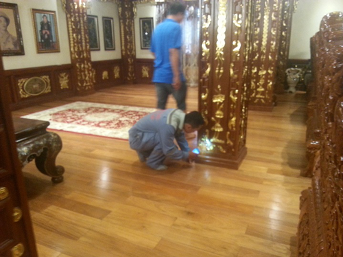 phòng chống mối cho sàn gỗ