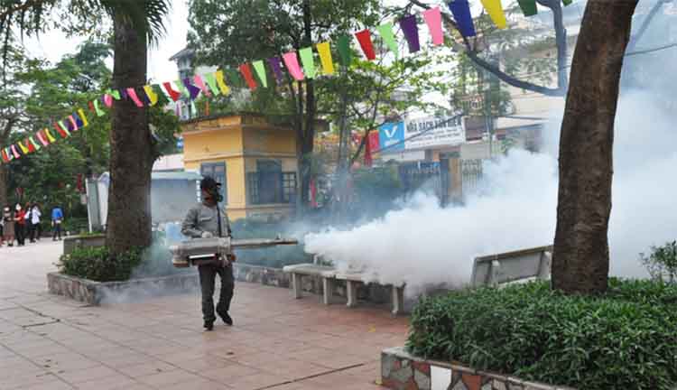 phun thuốc diệt ruồi tại Quảng Ninh