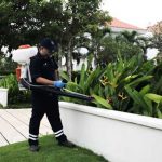 dịch vụ diệt ruồi tại Hồ Chí Minh